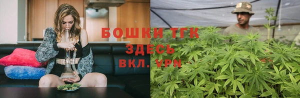 шишки Няндома