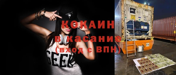 шишки Няндома