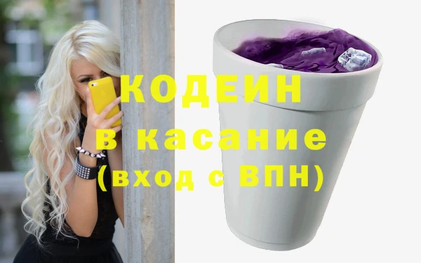 шишки Няндома