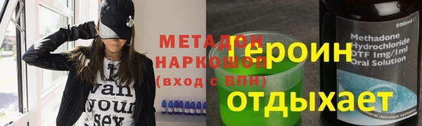 шишки Няндома
