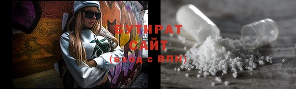 шишки Няндома
