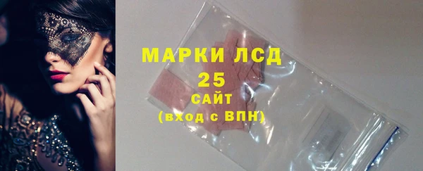 шишки Няндома