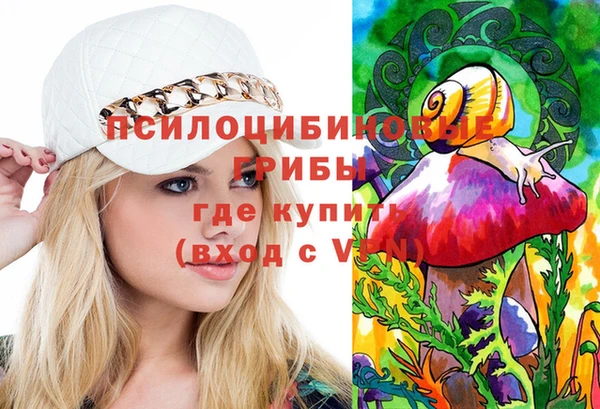 шишки Няндома