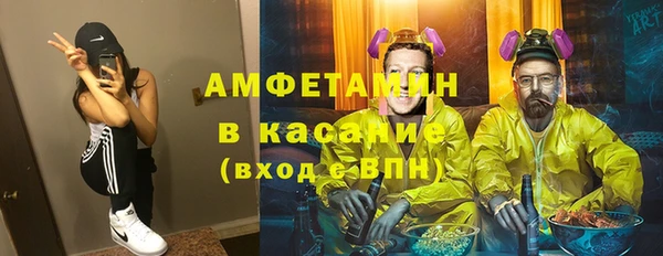 шишки Няндома