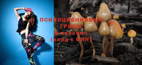 дживик Нягань