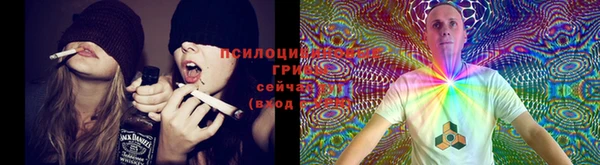 дживик Нягань